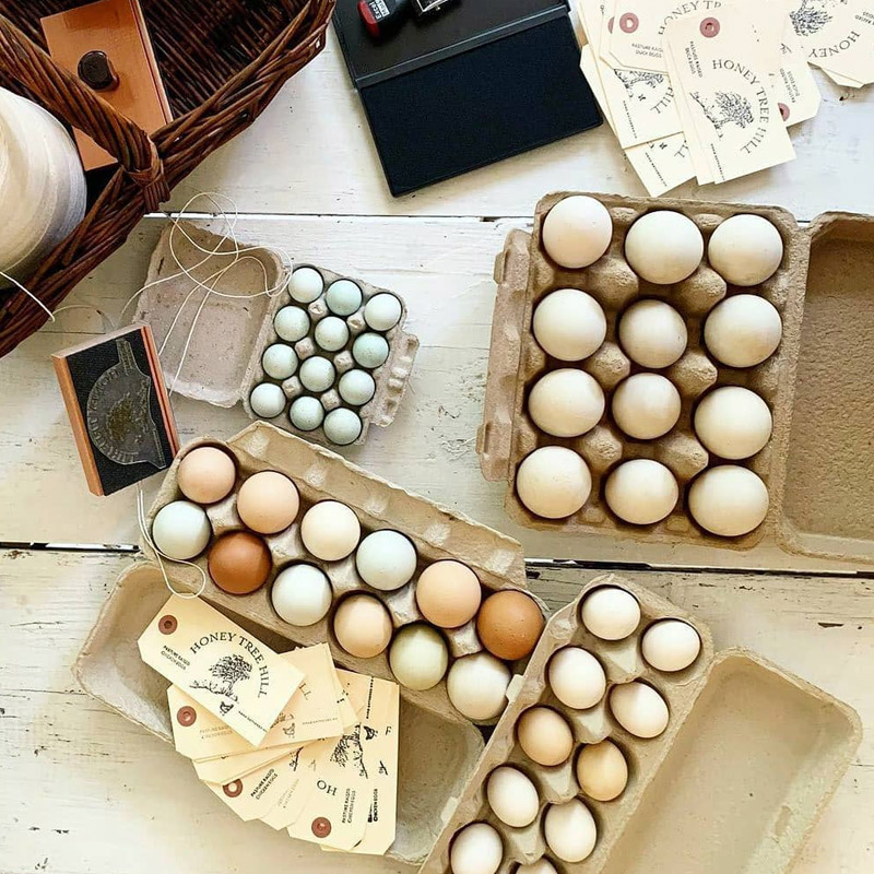 Custom Stamps Easily Design Custom Rubber Stamps with StampMaker